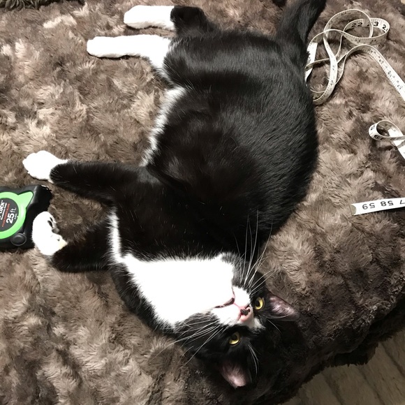 Meet your Posher, Meredith - Picture 4 of 4